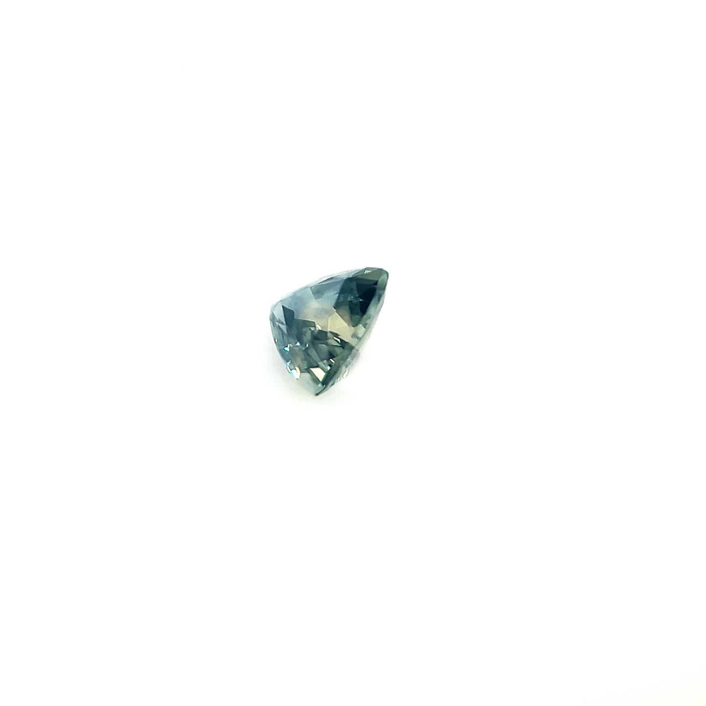 S1301a__2023-11-01-17-07-01.jpg