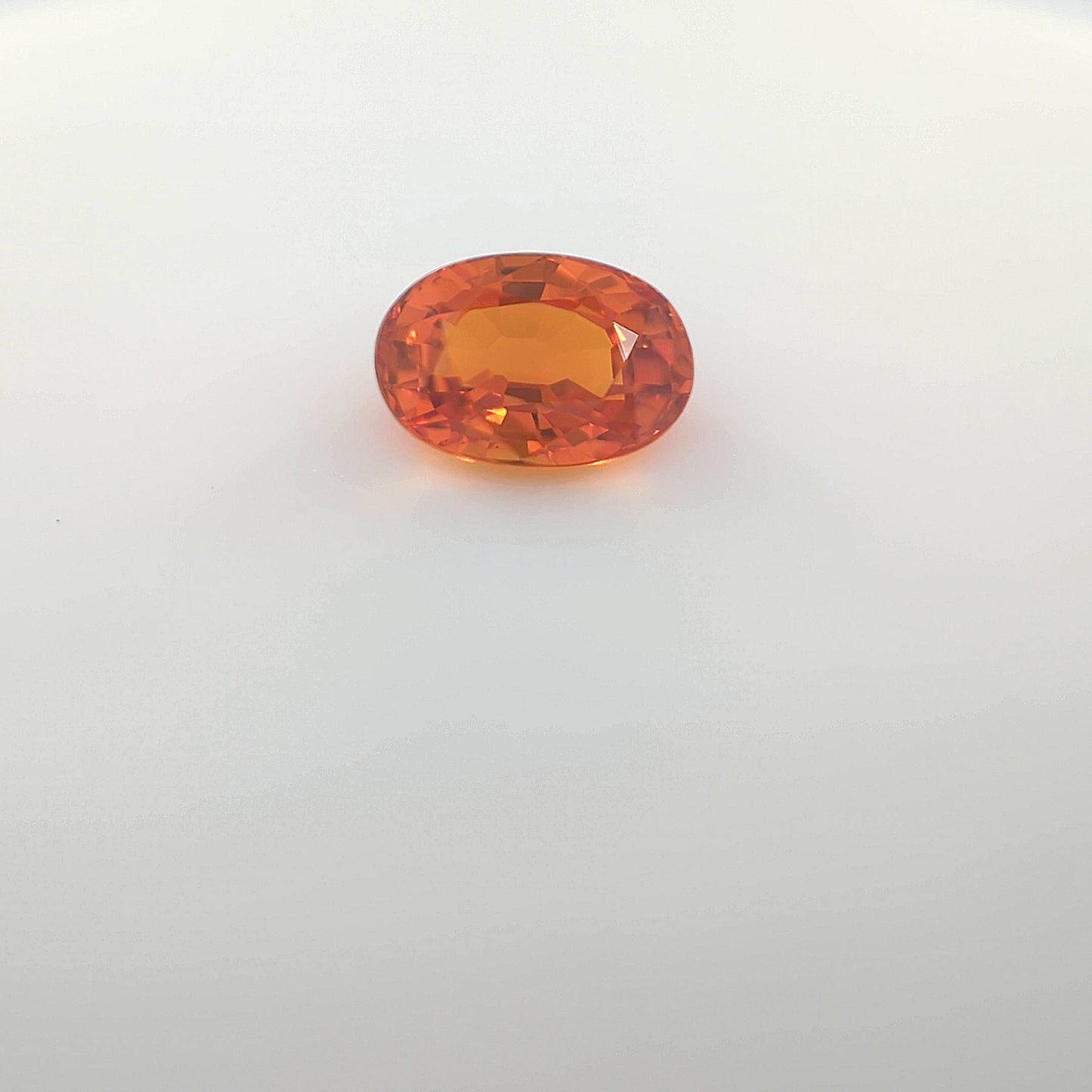 last orange__2024-03-15-11-53-14.jpg