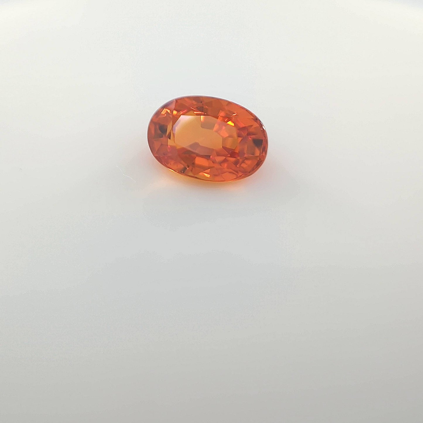 last orange__2024-03-15-11-53-45.jpg