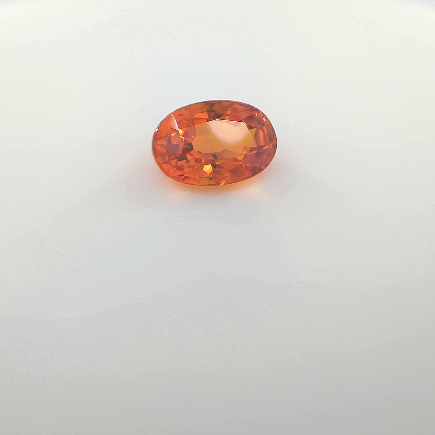 last orange__2024-03-15-11-53-52.jpg