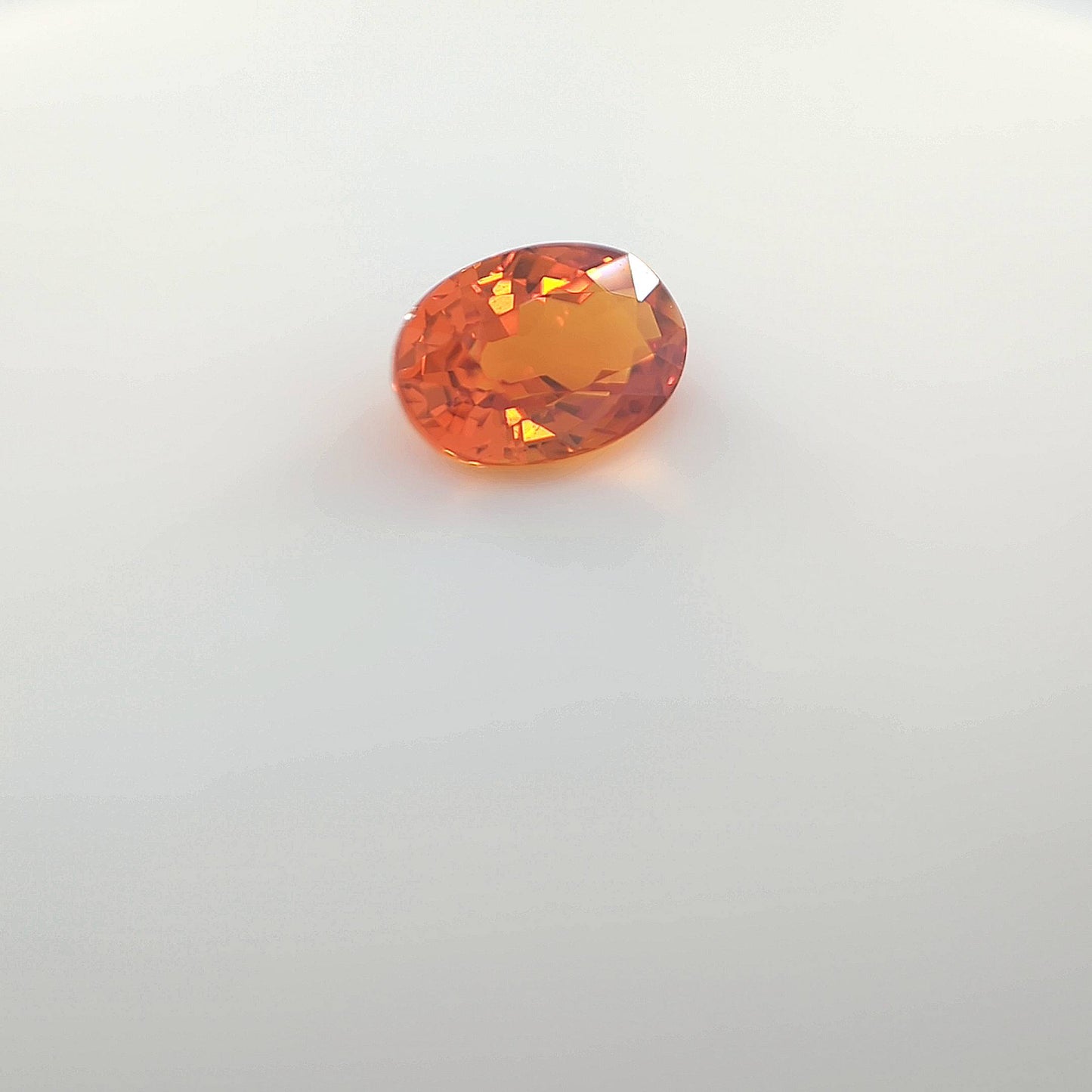 last orange__2024-03-15-11-53-58.jpg