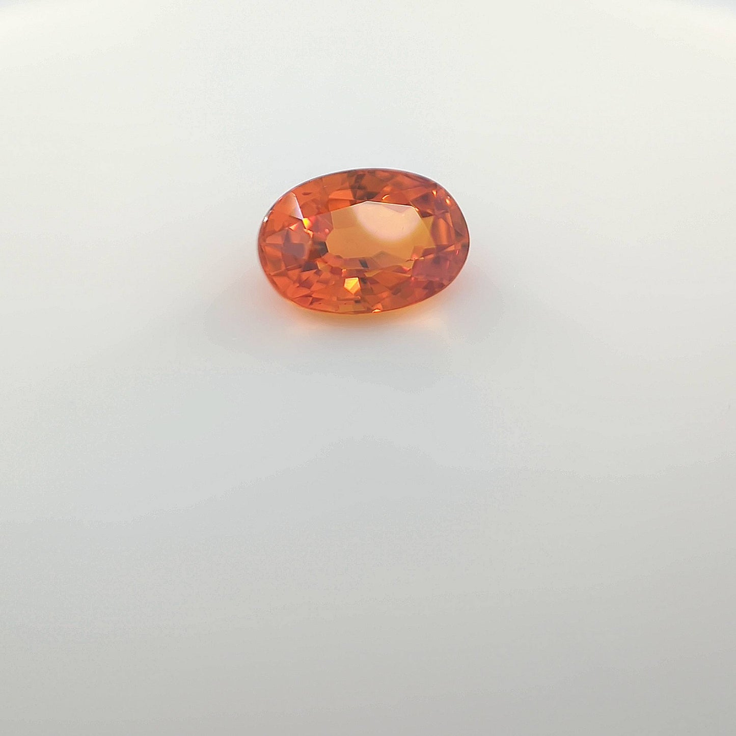 last orange__2024-03-15-11-54-12.jpg