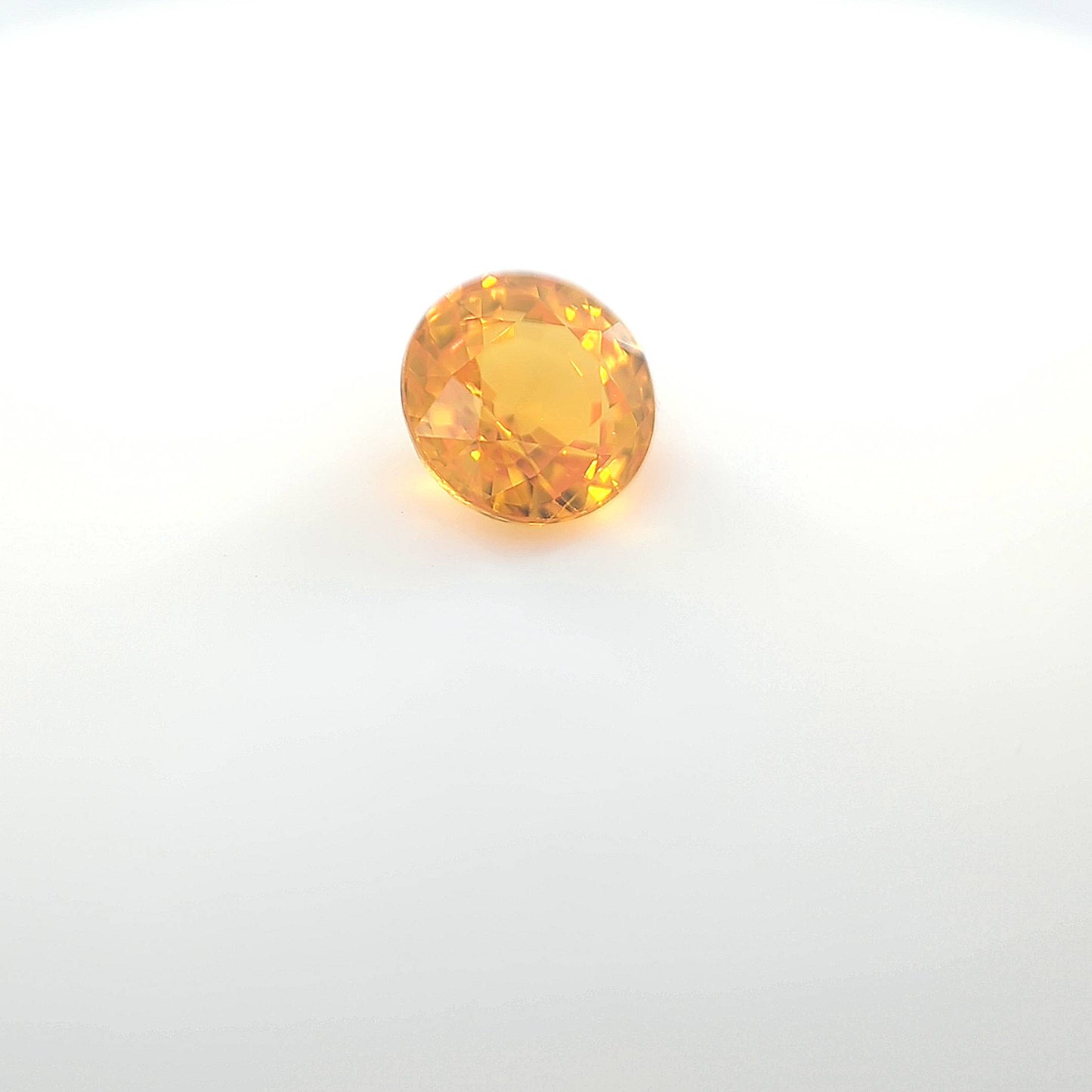 last orange__2024-03-15-13-41-12.jpg