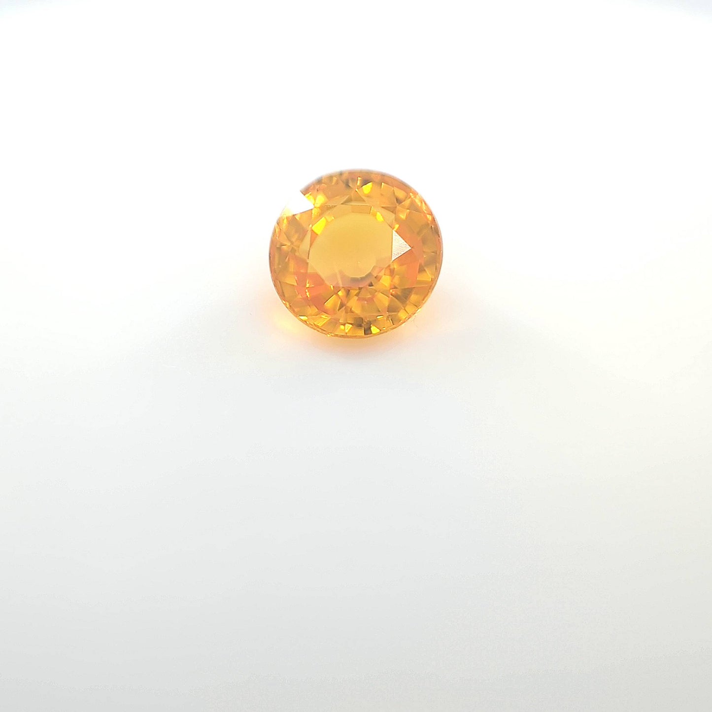 last orange__2024-03-15-13-43-45.jpg
