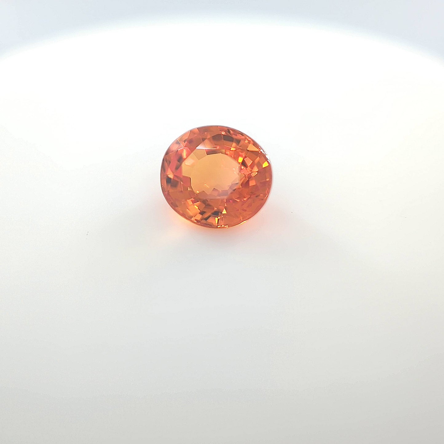 orange oval 3 __2024-03-14-13-09-49.jpg