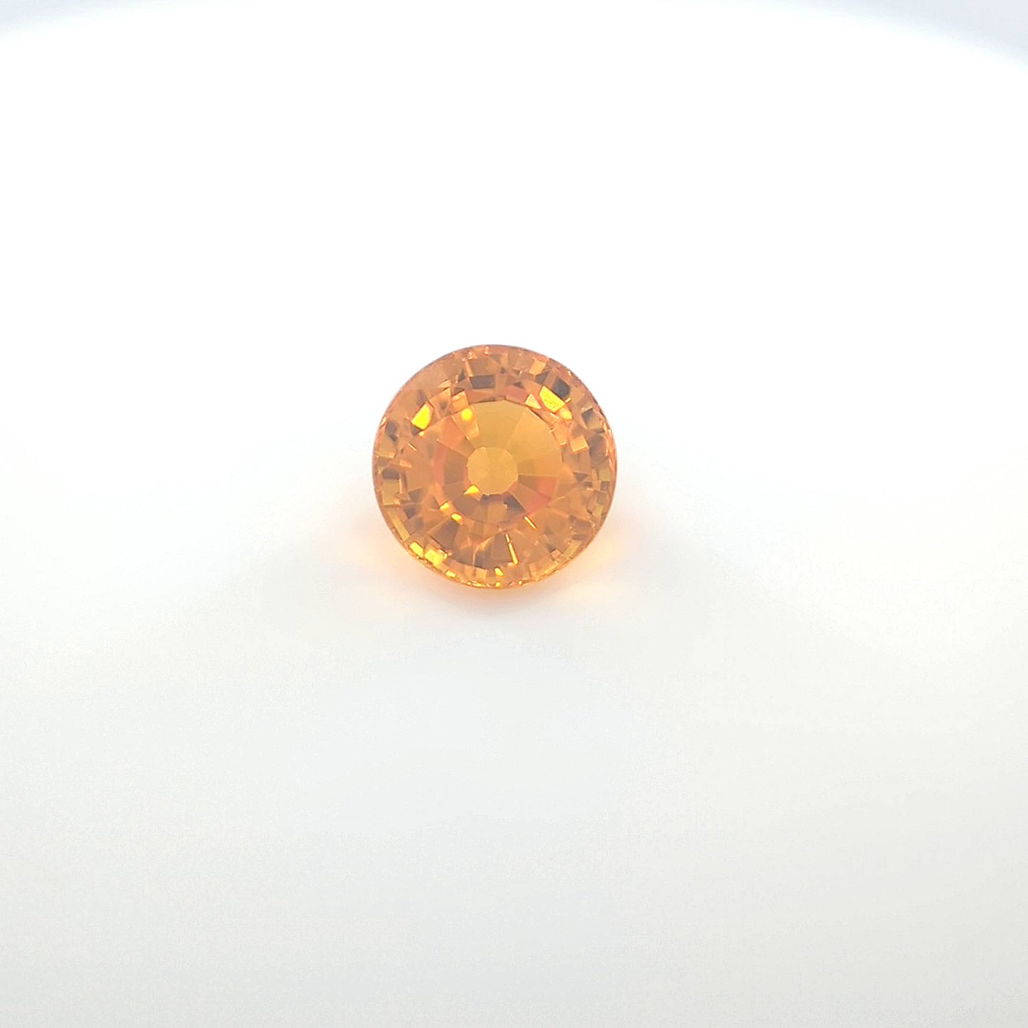 orange round2__2024-03-11-13-41-49.jpg