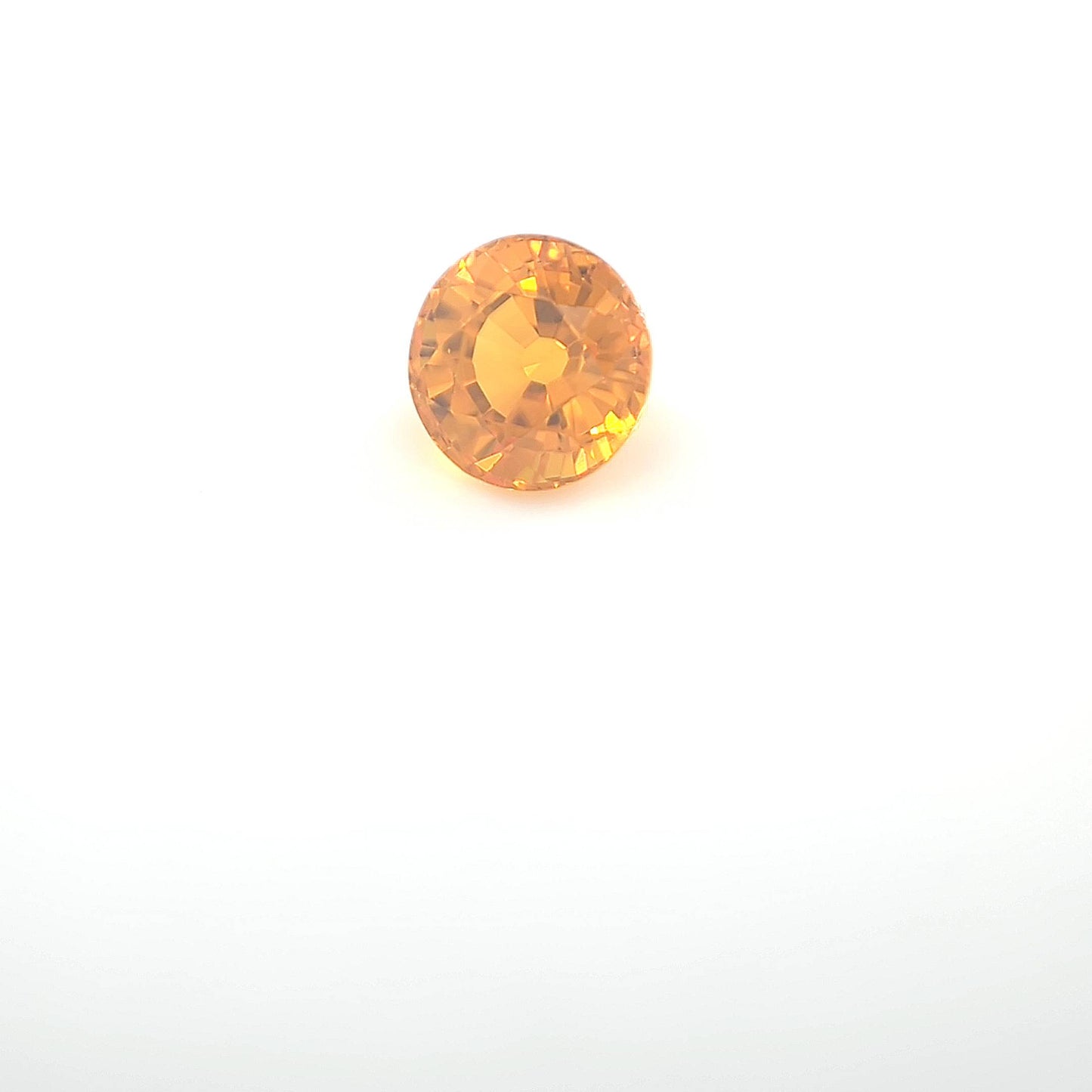 orange round 1__2024-03-11-13-30-47.jpg