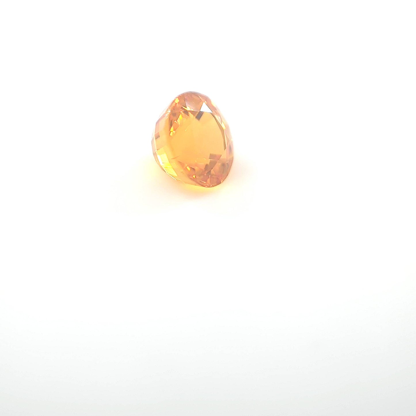 orange round 1__2024-03-11-13-30-51.jpg