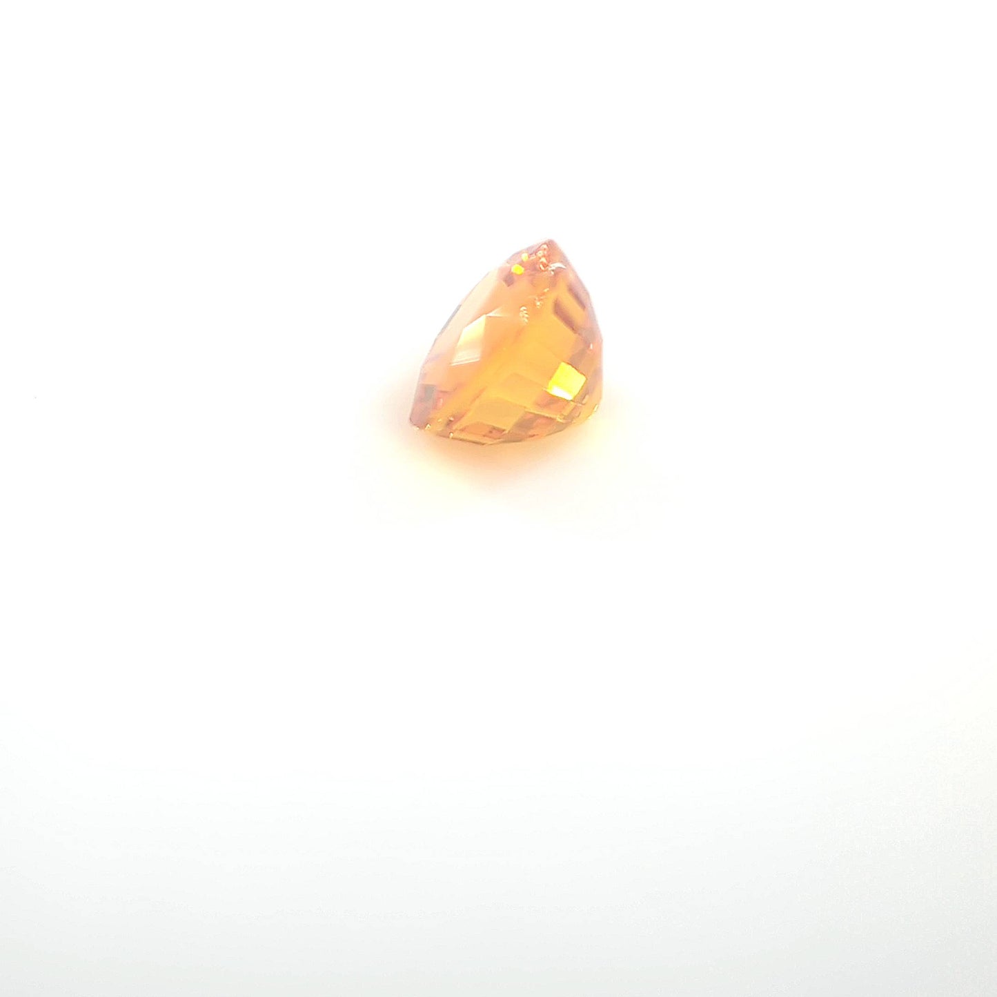 orange round 1__2024-03-11-13-30-58.jpg