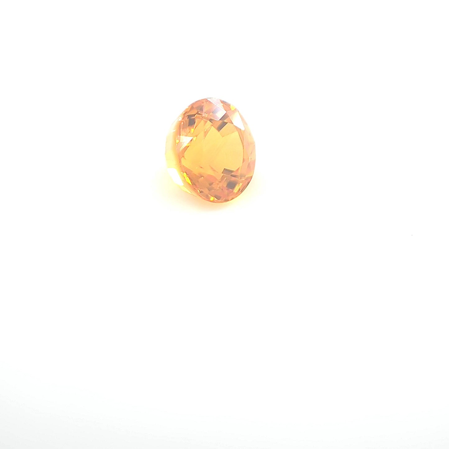 orange round 1__2024-03-11-13-33-57.jpg