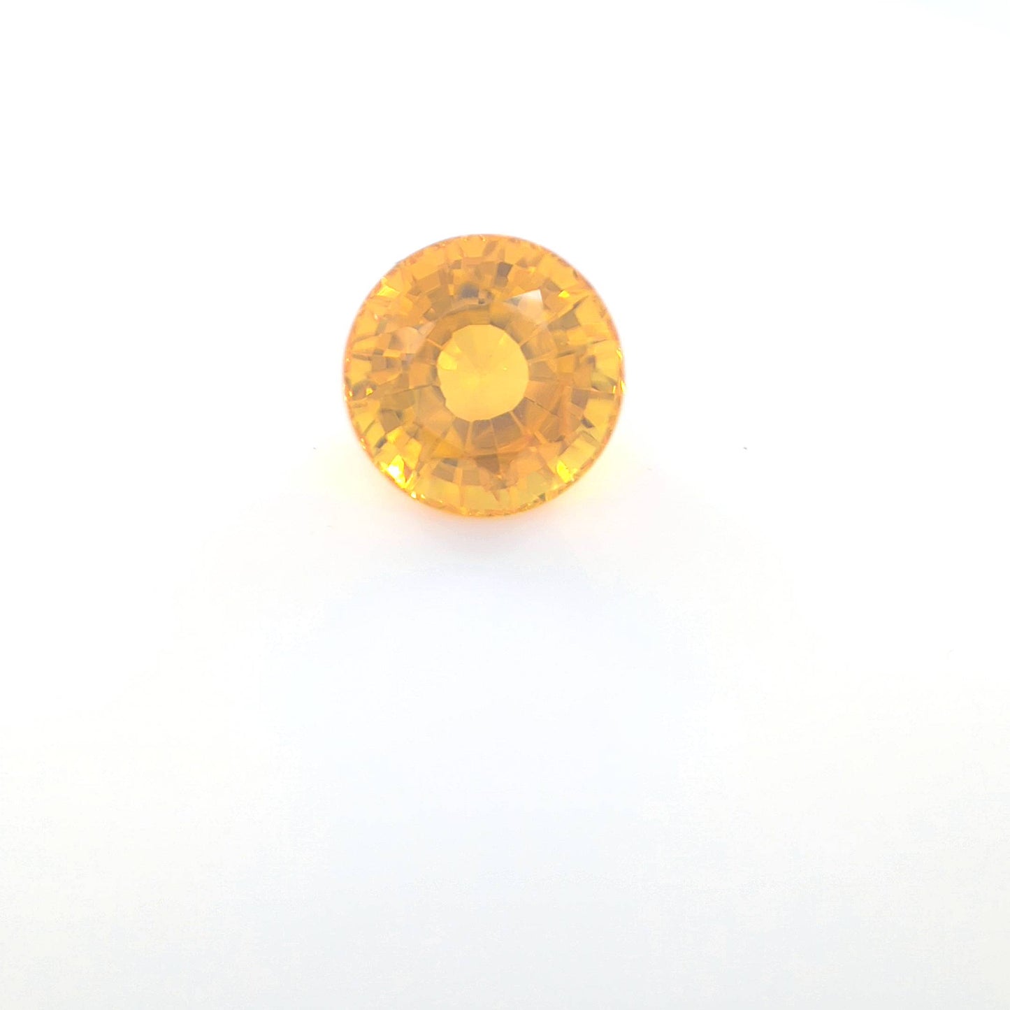 orange round 3 __2024-03-13-11-11-53.jpg