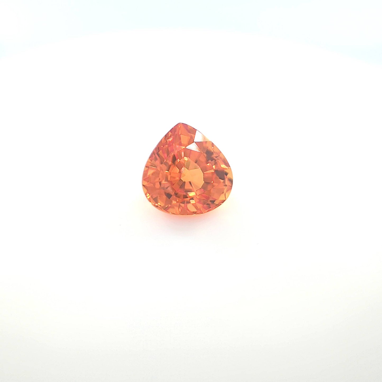 orange round 4__2024-03-14-11-55-55.jpg