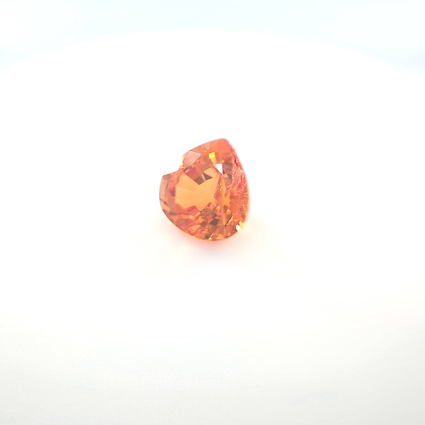 orange round 4__2024-03-14-11-56-16.jpg