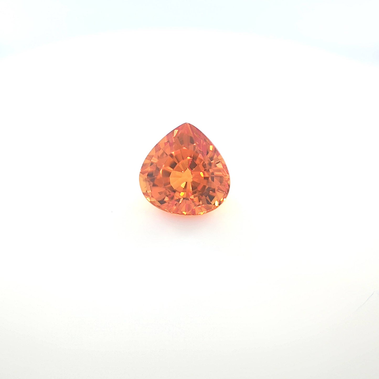 orange round 4__2024-03-14-11-56-26.jpg