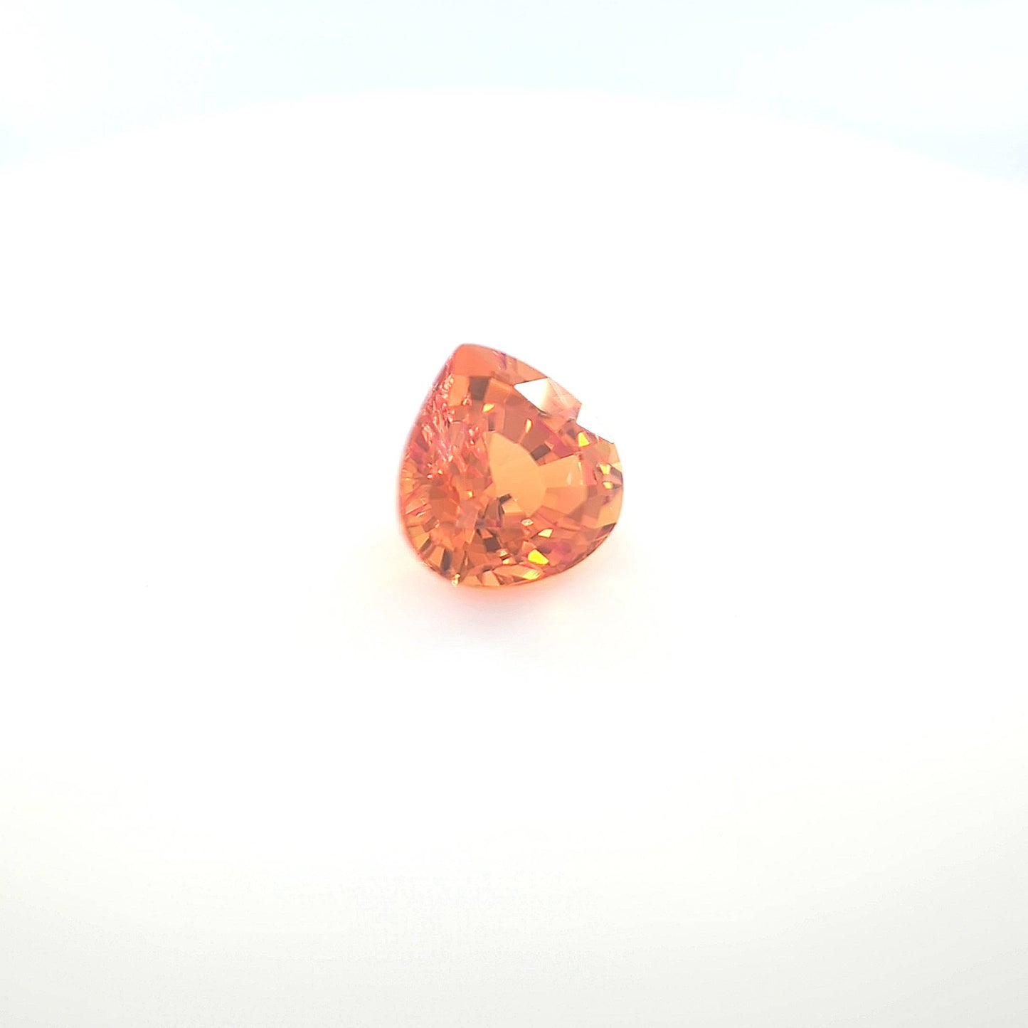 orange round 4__2024-03-14-11-57-12.jpg