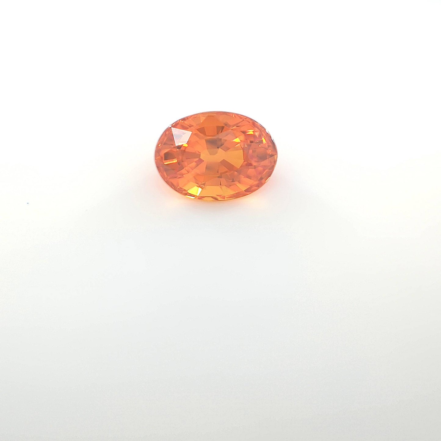 orange round __2024-03-15-12-13-18.jpg