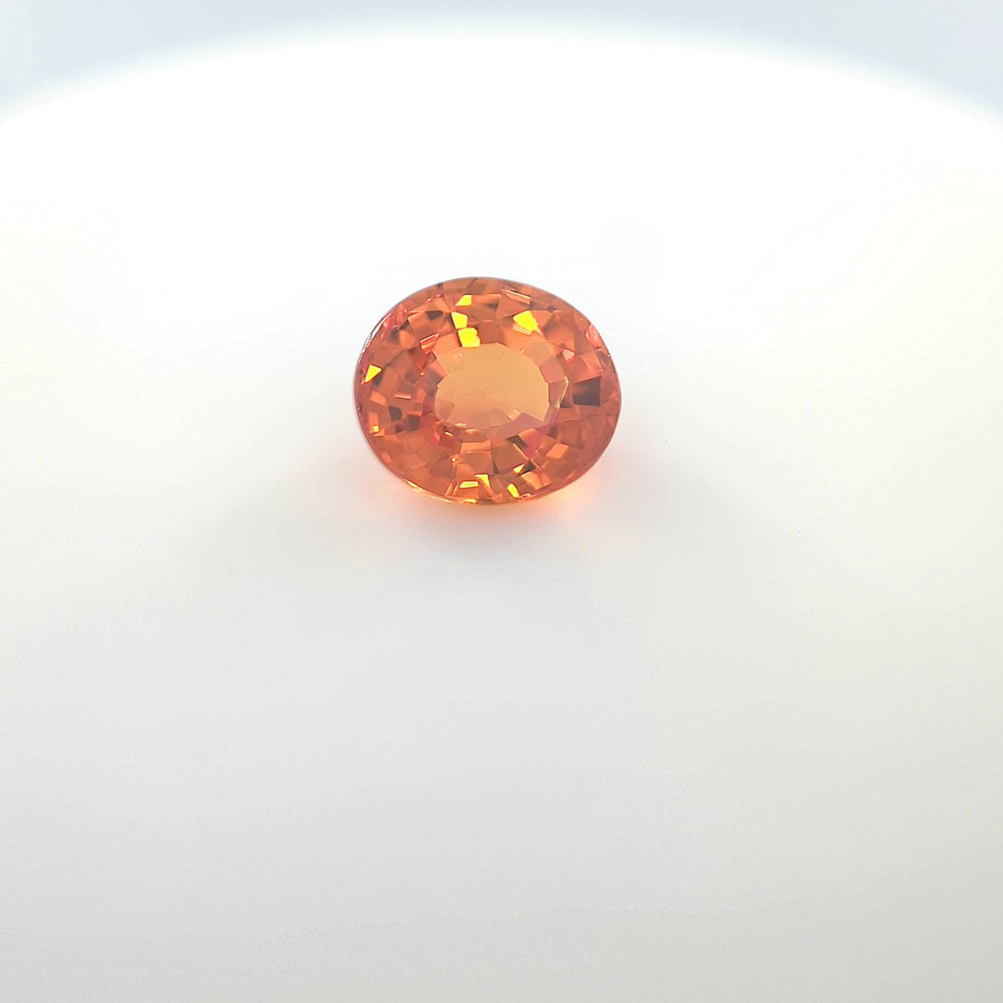 test__2024-03-14-13-23-01.jpg