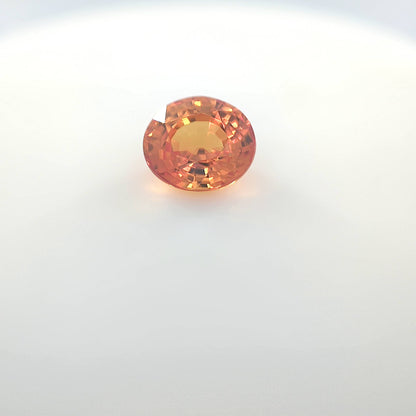 orange blur__2024-03-14-12-56-20.jpg