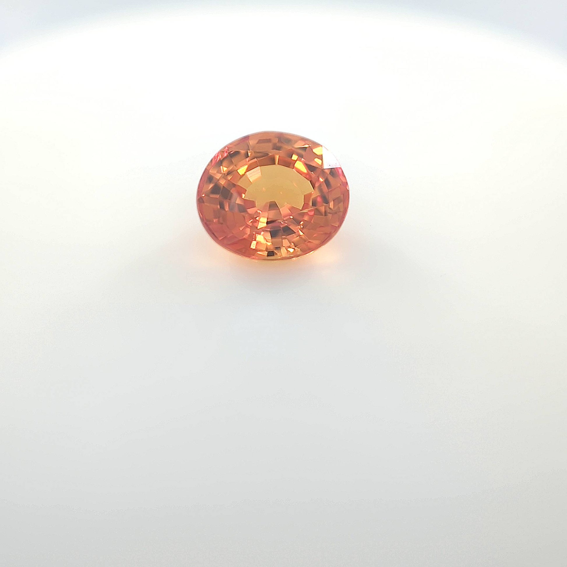 orange blur__2024-03-14-12-56-27.jpg