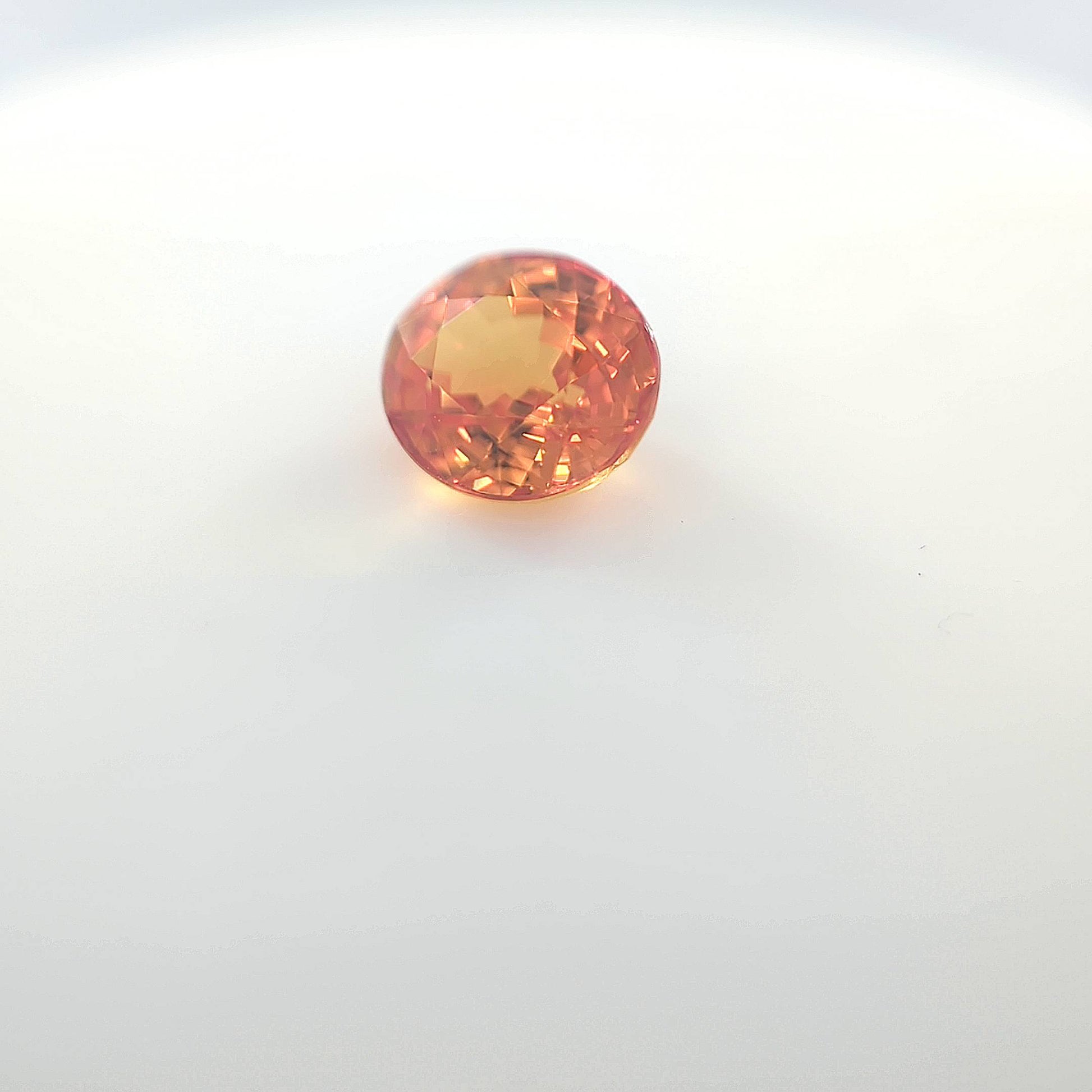 orange blur__2024-03-14-12-56-57.jpg