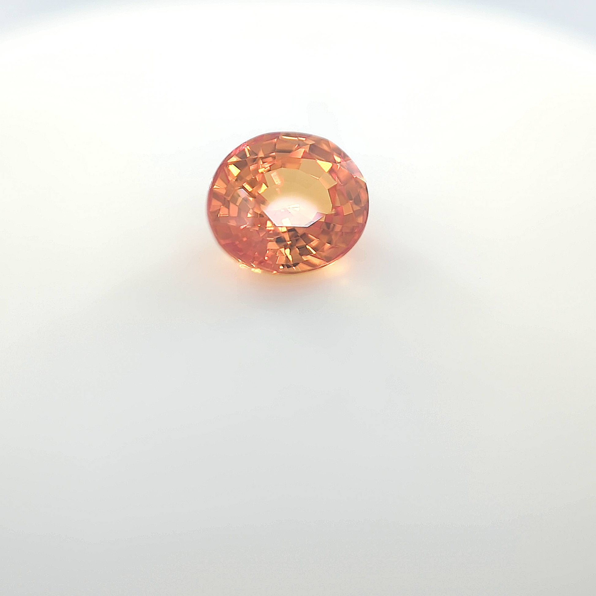 orange blur__2024-03-14-12-57-43.jpg