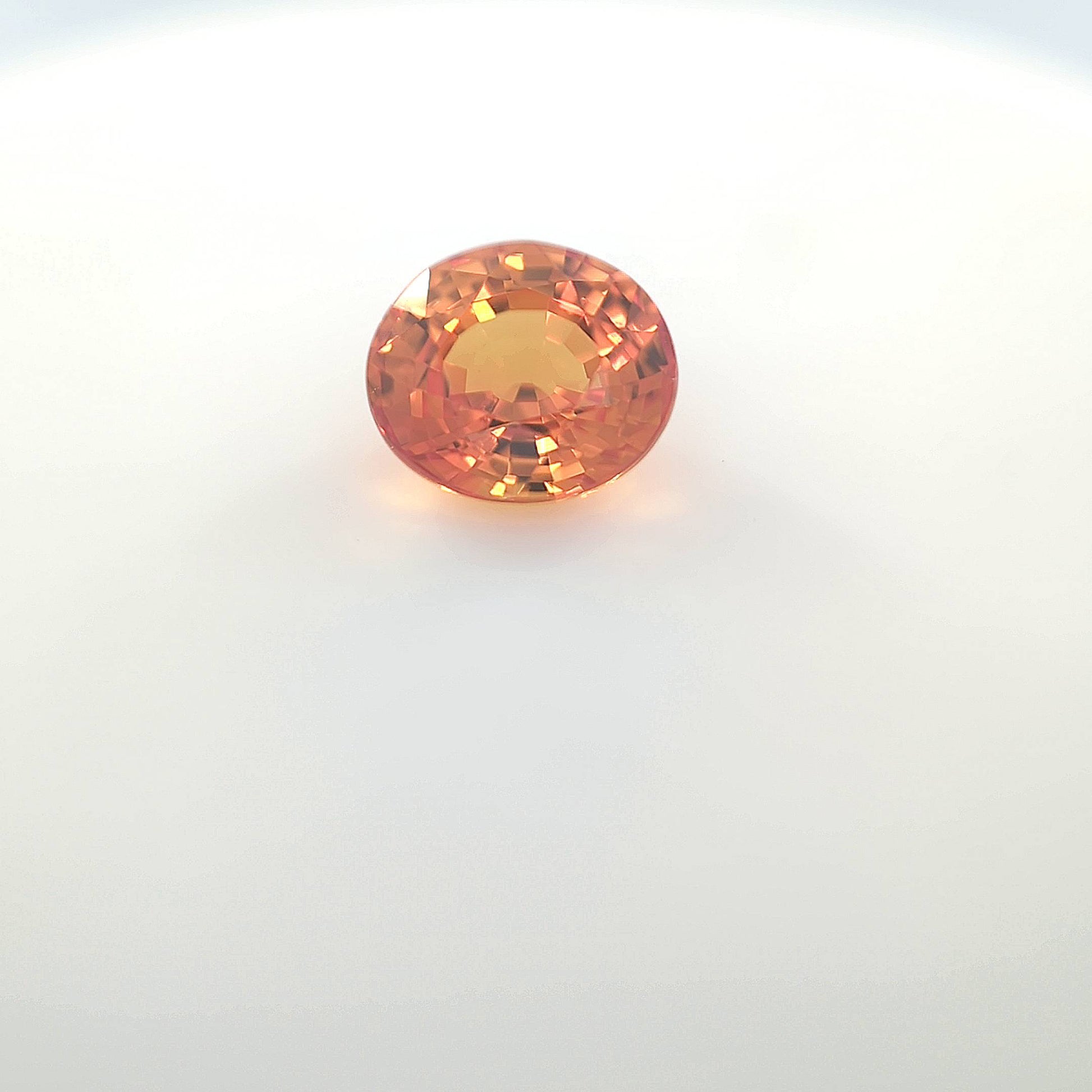 orange blur__2024-03-14-12-58-31.jpg