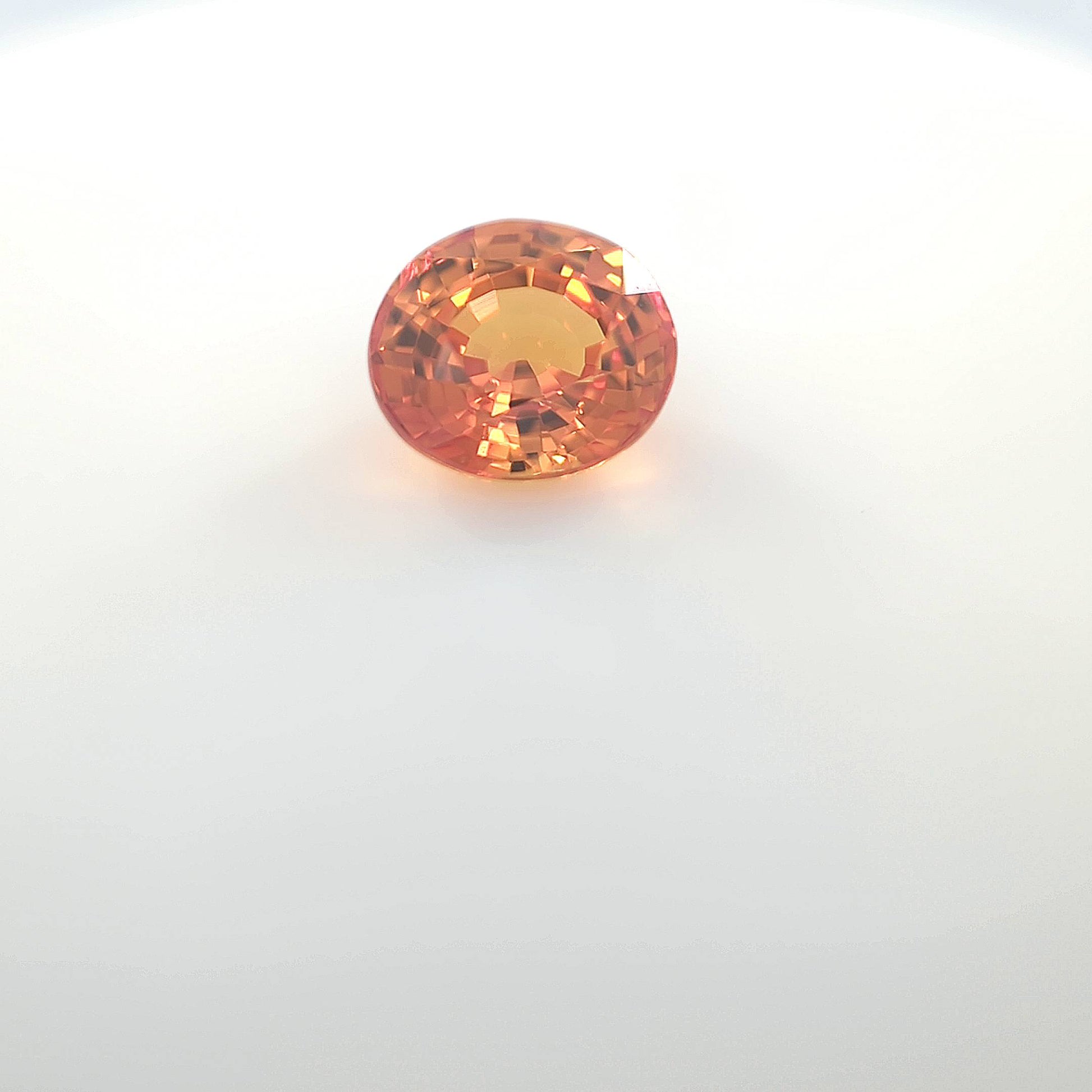 orange blur__2024-03-14-12-58-44.jpg