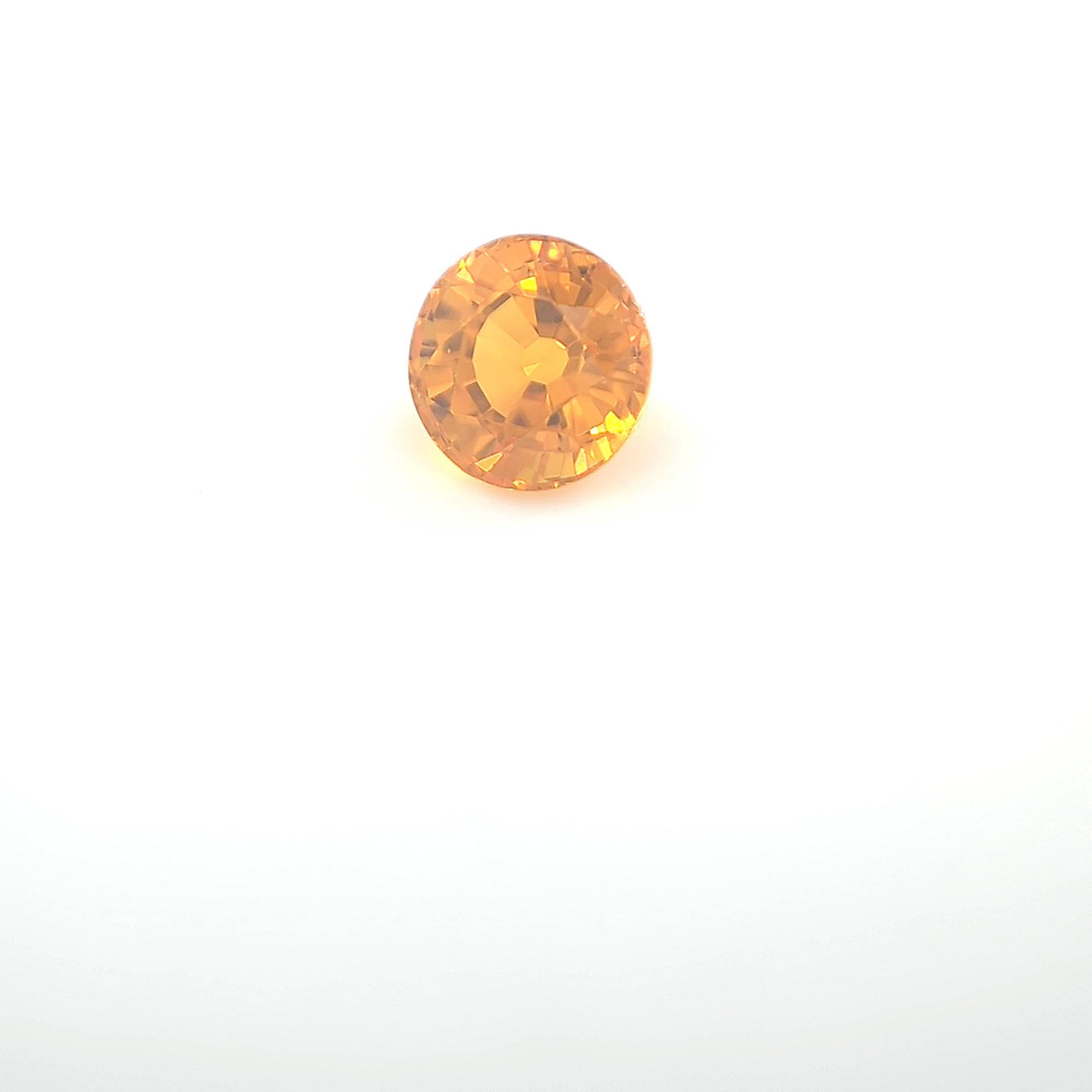 orange round 1__2024-03-11-13-30-47.jpg