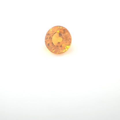 orange round 1__2024-03-11-13-30-47.jpg