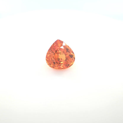 orange round 4__2024-03-14-11-55-55.jpg
