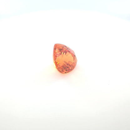 orange round 4__2024-03-14-11-57-01.jpg