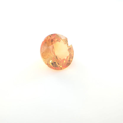 orange round 8__2024-03-13-16-41-59.jpg