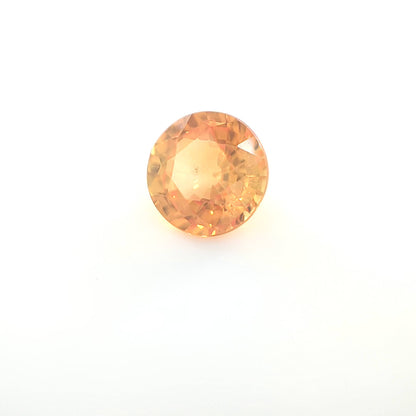orange round 8__2024-03-13-16-42-24.jpg