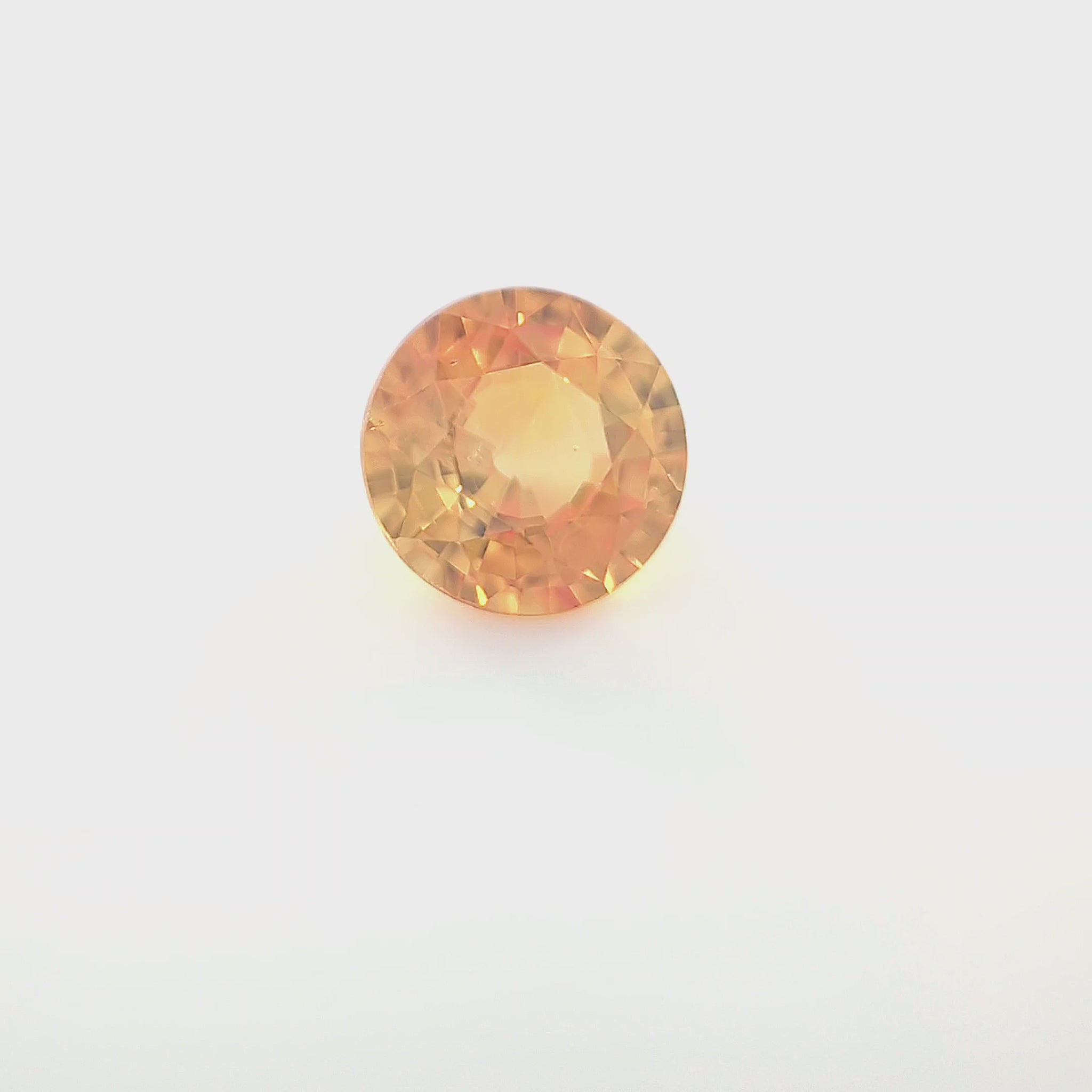 orange round 8__2024-03-13-16-41-23.mp4