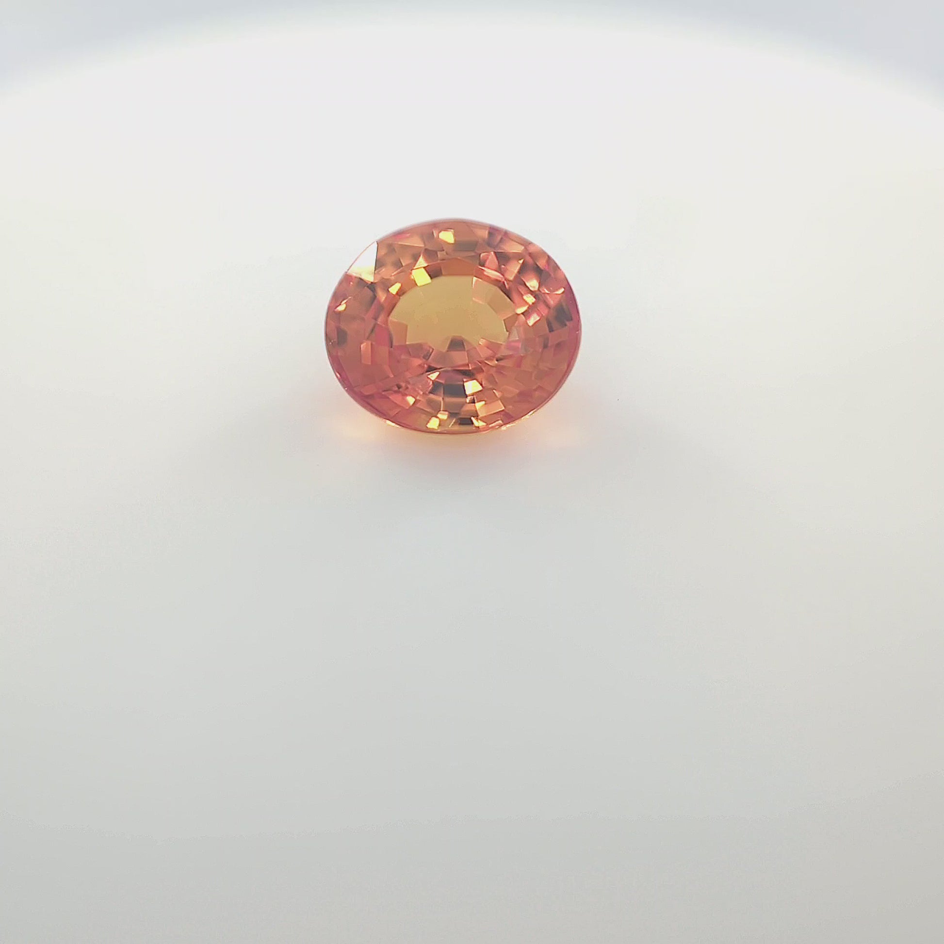 orange blur__2024-03-14-12-55-59.mp4