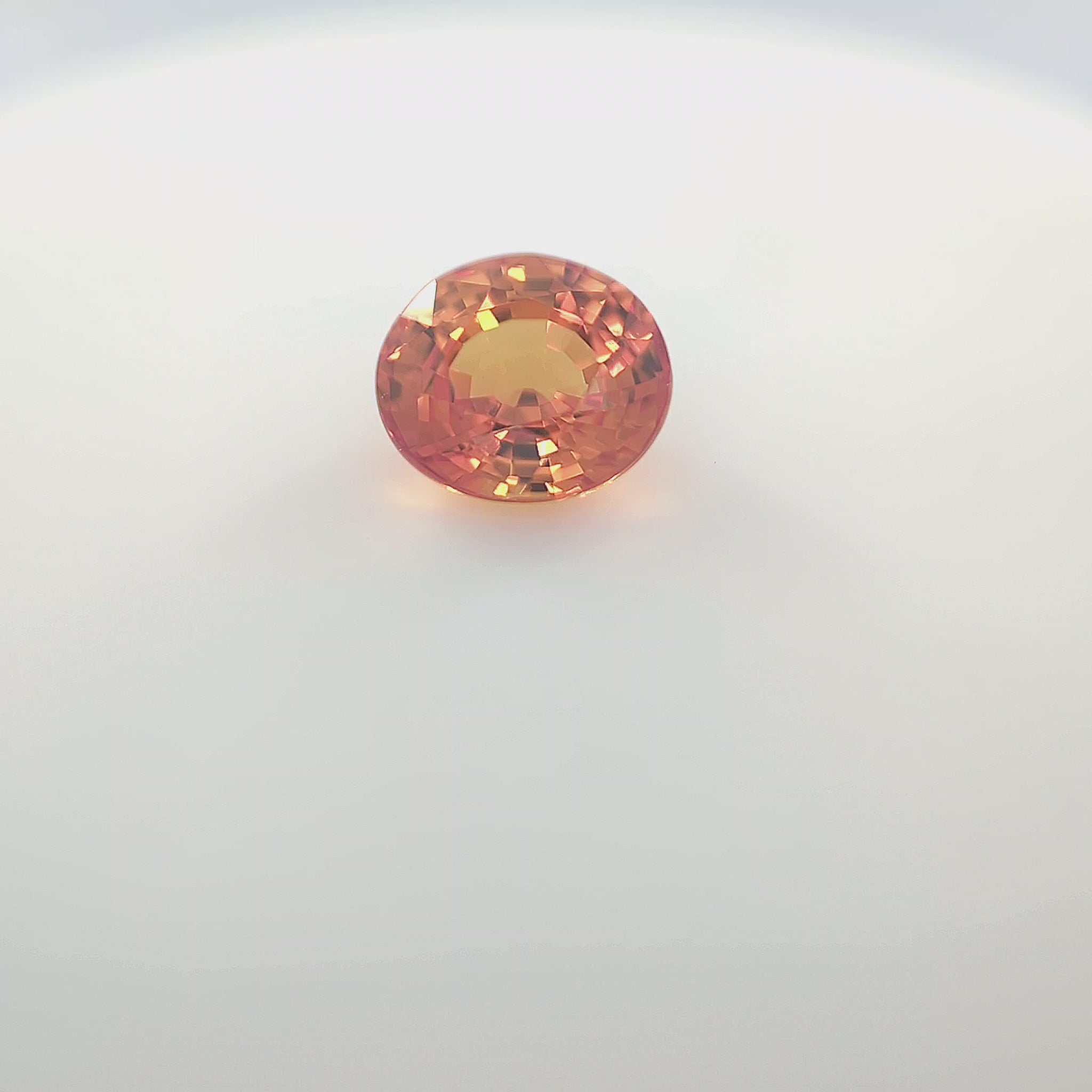 orange blur__2024-03-14-12-55-59.mp4