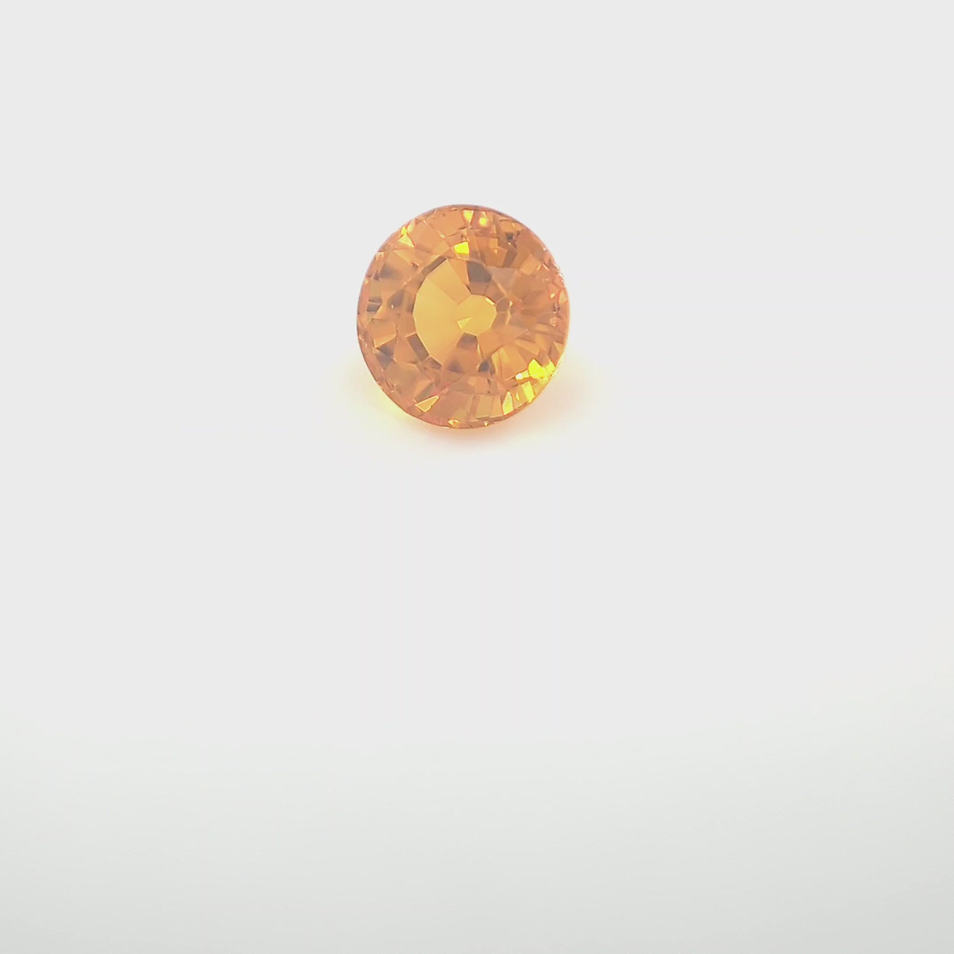 orange round 1__2024-03-11-13-30-47.mp4