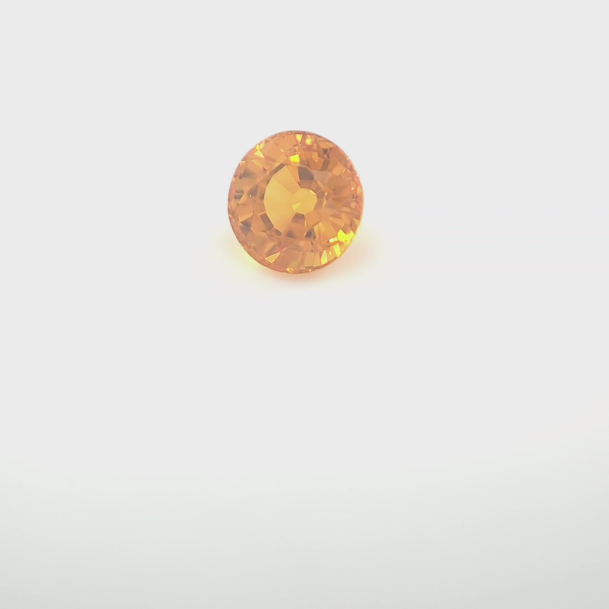 orange round 1__2024-03-11-13-30-47.mp4