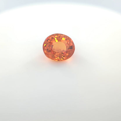test__2024-03-14-13-23-01.jpg
